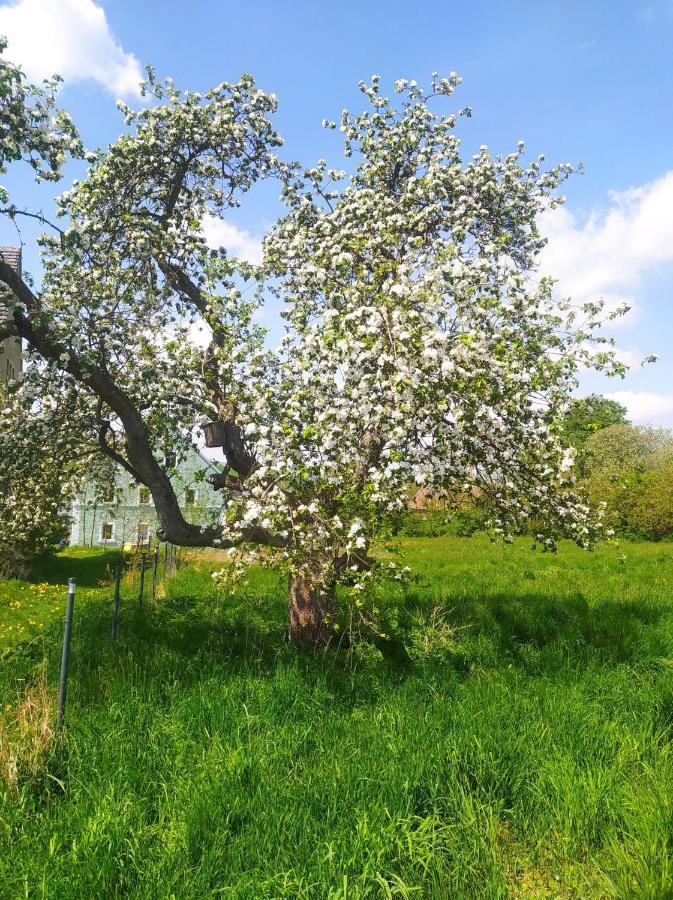 Polny Zakatek - Pokoje Goscinne Rybnica Luaran gambar